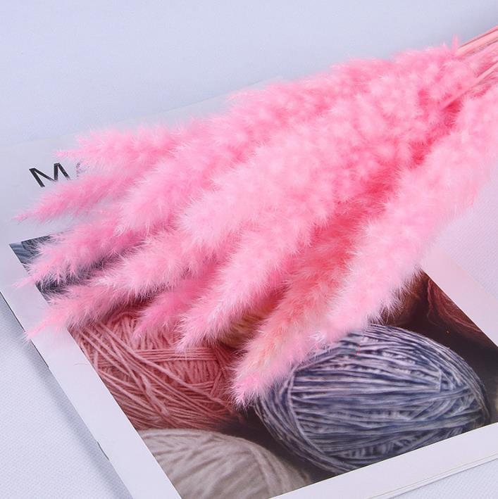 DIY Dried Small Pampas Grass decoration Flowers Pantas Artificiales Para Decoracion Real Plants Home Decor Wedding Decoration 60~70cm
