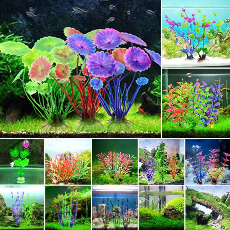 Decorations 10PCS PVC Fish Tank Decoration Simulation Artificial Trumpet Environmental Aquarium Accessories Fake Aquatic Plants
Decorations 10PCS PVC Fish Tank Decoration Simulation Artificial Trumpet Environmental Aquarium Accessories Fake Aquatic Plants