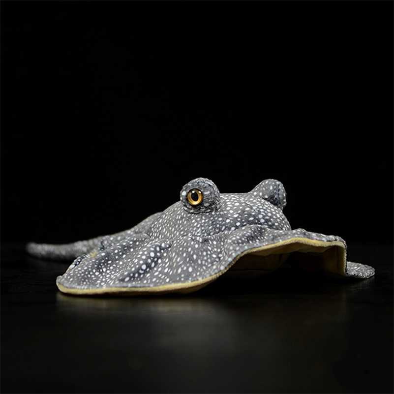 50cm Length Lifelike Honeycomb Stingray Plush Toy Real Life Soft Real Life Ray Fish Realistic Sea Animals Stuffed Toys For Kids 201215
50cm Length Lifelike Honeycomb Stingray Plush Toy Real Life Soft Real Life Ray Fish Realistic Sea Animals Stuffed Toys For Kids 201215
