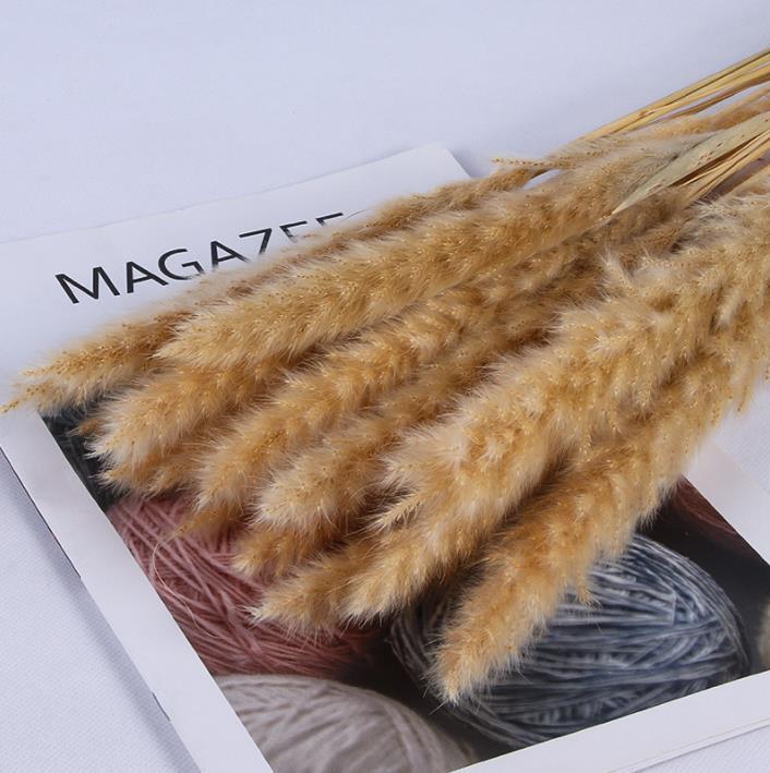 DIY Dried Small Pampas Grass decoration Flowers Pantas Artificiales Para Decoracion Real Plants Home Decor Wedding Decoration 60~70cm