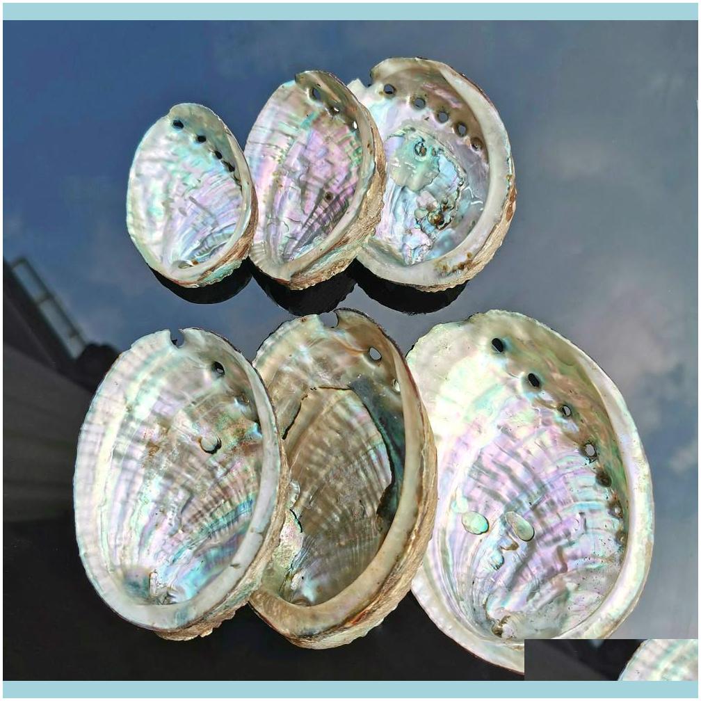 Decorations Aquariums Fish Pet Supplies & Garden5 Sizes Abalone Nautical Seashell Beach Wedding Shells Ocean Jewelry Diy Shell Soap Dish Aqu
Decorations Aquariums Fish Pet Supplies & Garden5 Sizes Abalone Nautical Seashell Beach Wedding Shells Ocean Jewelry Diy Shell Soap Dish Aqu