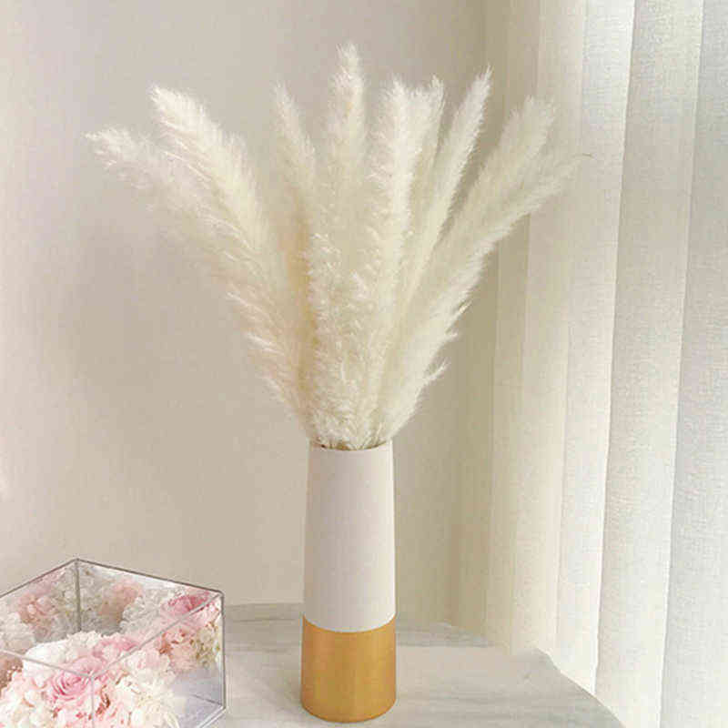 Bulrush Natural Dried Flowers Artificial Plants Branch Colorful INS Pampas Grass Phragmites Fake Flower Wedding Home Decoration, 177-yellow
Bulrush Natural Dried Flowers Artificial Plants Branch Colorful INS Pampas Grass Phragmites Fake Flower Wedding Home Decoration, 177-yellow