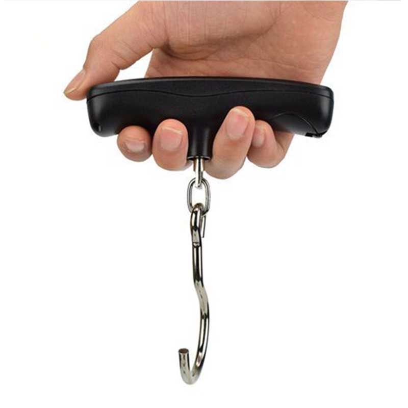 50kg/10g Mini Digital Scale For Fishing Travel Luggage Weight Kitchen Steelyard Portable Electronic Hanging Hook Scales