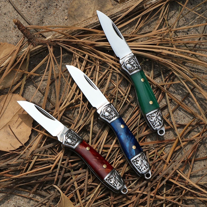 10PC Keychains High Quality Portable Stainless steel mini folding knife ladies self-defense fruit knife keychain
10PC Keychains High Quality Portable Stainless steel mini folding knife ladies self-defense fruit knife keychain