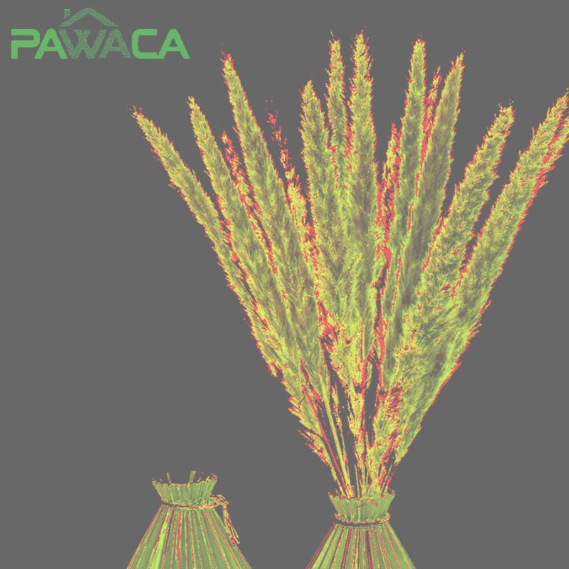 Decorative Flowers & Wreaths 30pc Pampas Grass Natural Dried Bouquet Boho Real Flower Bunch Plants Home Wedding Christmas Party Decorations, Primary color
Decorative Flowers & Wreaths 30pc Pampas Grass Natural Dried Bouquet Boho Real Flower Bunch Plants Home Wedding Christmas Party Decorations, Primary color