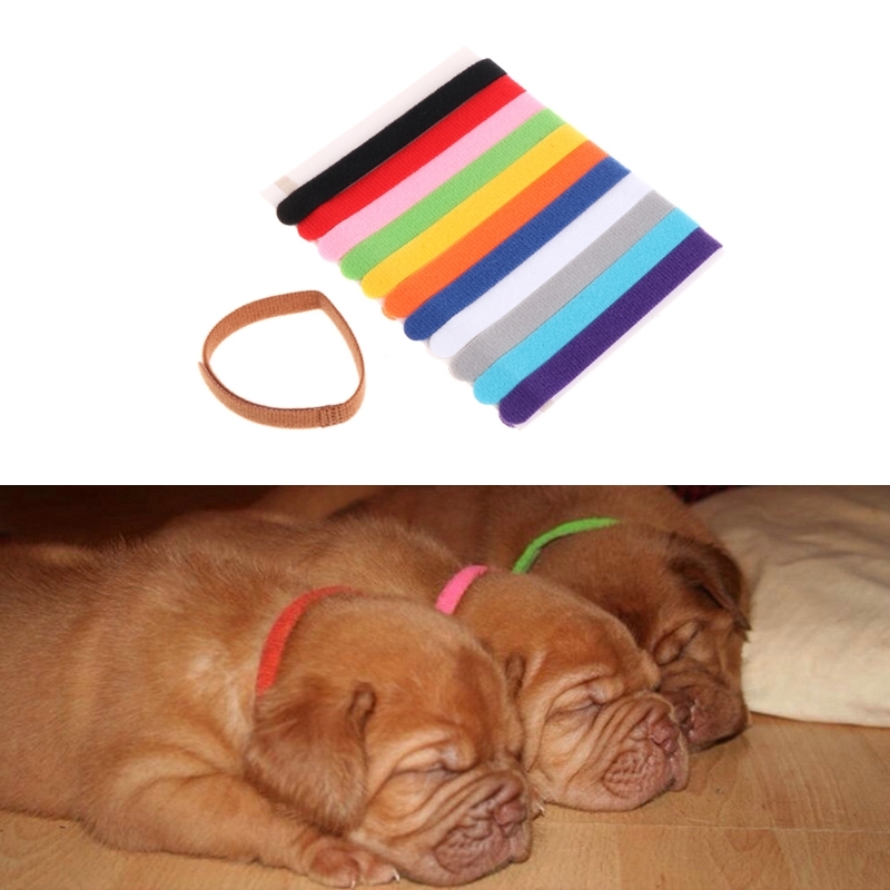 12Pcs Pets Puppy Necklaces Various colours Nice soft identification Mark for cats Dogs