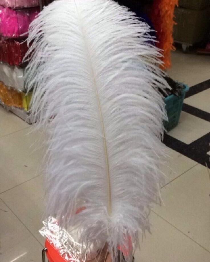 ostrich feathers for Wedding centerpiece Table centerpieces Party Decoraction supply multi color many size to choose dsf0604
ostrich feathers for Wedding centerpiece Table centerpieces Party Decoraction supply multi color many size to choose dsf0604