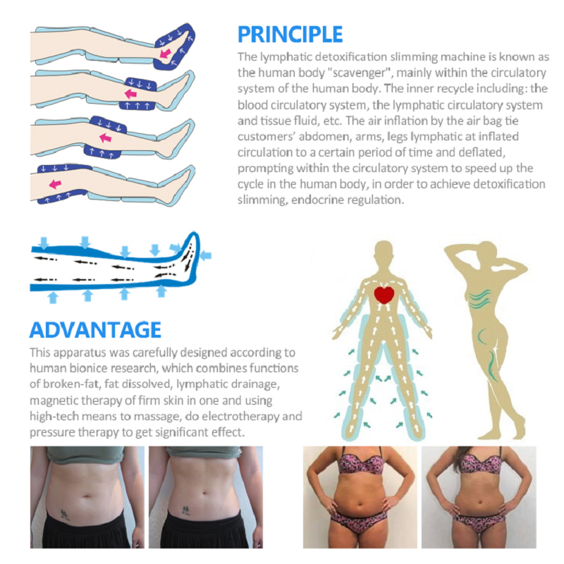 2025 Hot Sale Electro Muscle Stimulation Ems Muscle Stimulator Weight-Loss Body Sculpting Shaper Slimming Machine