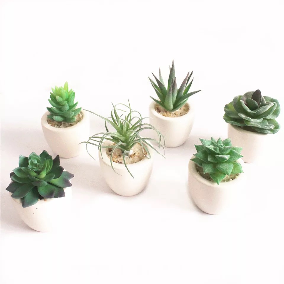 Artificial Plant with Pot Simulation Succulents Bonsai Balcony and Home Decorations
Artificial Plant with Pot Simulation Succulents Bonsai Balcony and Home Decorations