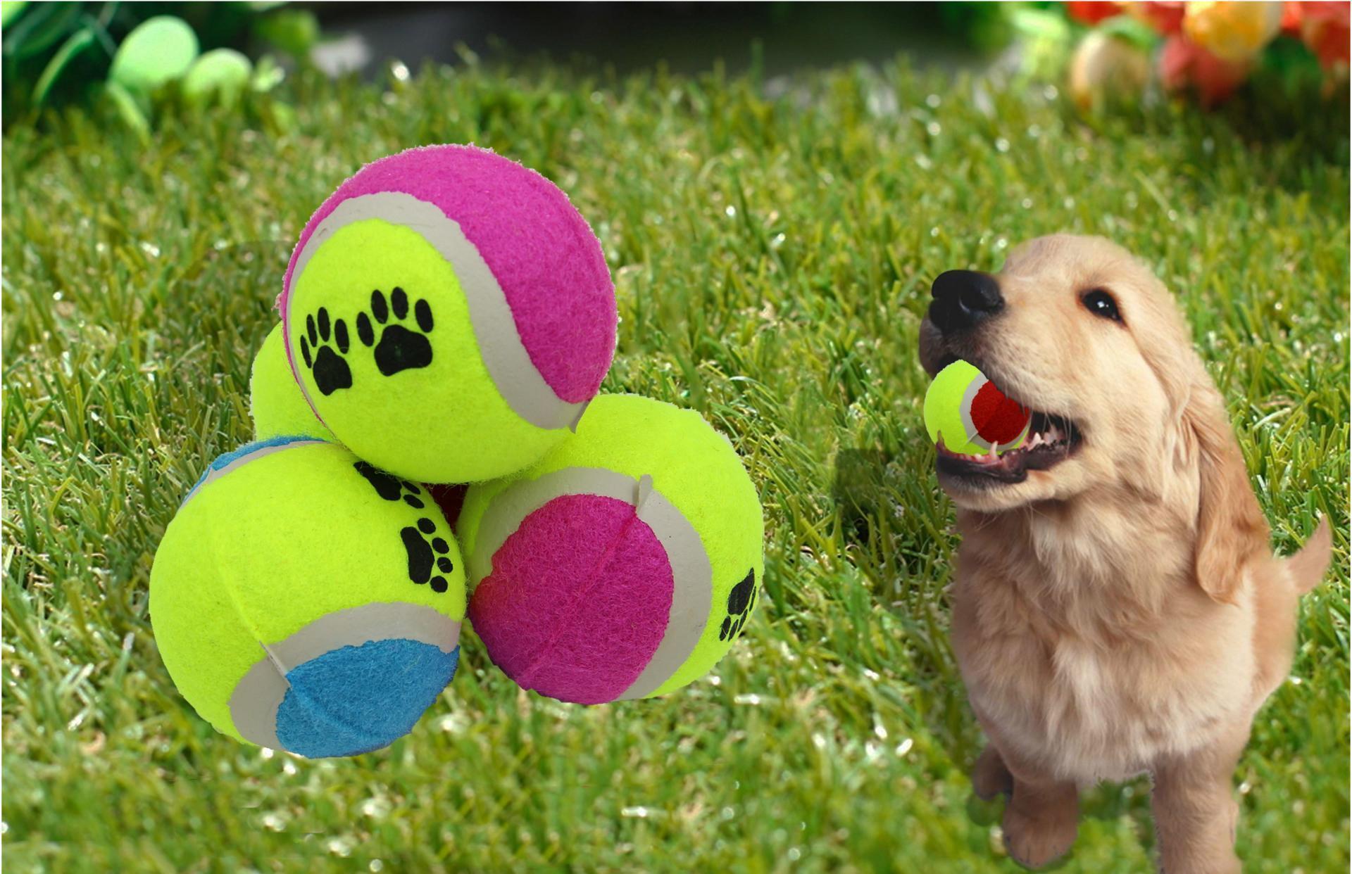 Chews Supplies Home & Garden Drop Delivery 2021 20Pcs/Carton Brand Tennis Ball Tournament Outdoor Fun Cricket Beach Activity Pet Dog Toys Fnp
Chews Supplies Home & Garden Drop Delivery 2021 20Pcs/Carton Brand Tennis Ball Tournament Outdoor Fun Cricket Beach Activity Pet Dog Toys Fnp