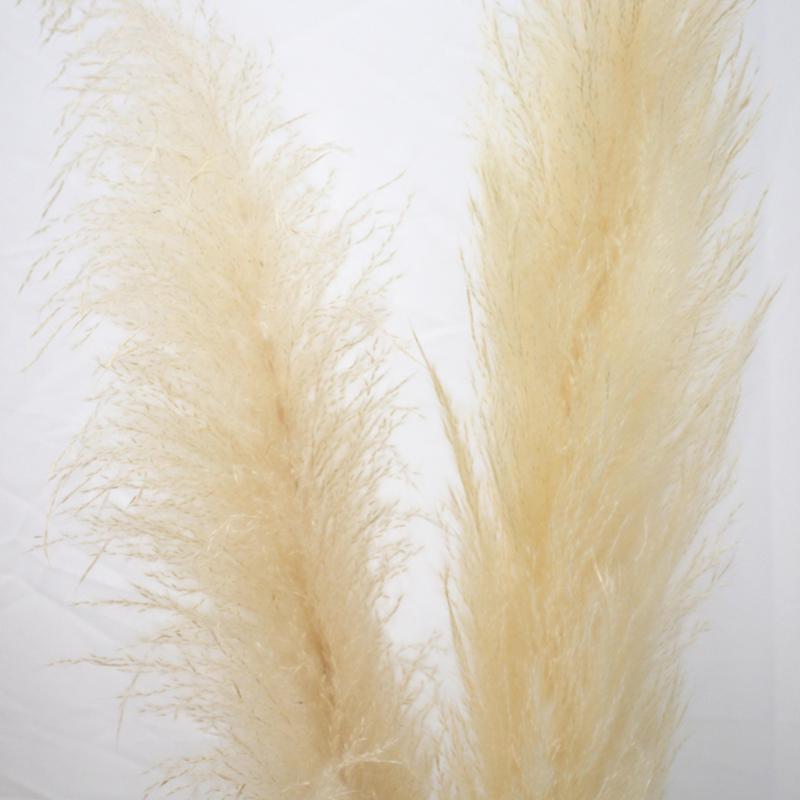Decorative Flowers & Wreaths 140CM 10Pcs/lot Natural Large Pampas Grass Decor Real Artificial Dried Bouquet Wedding Supplies Christmas
