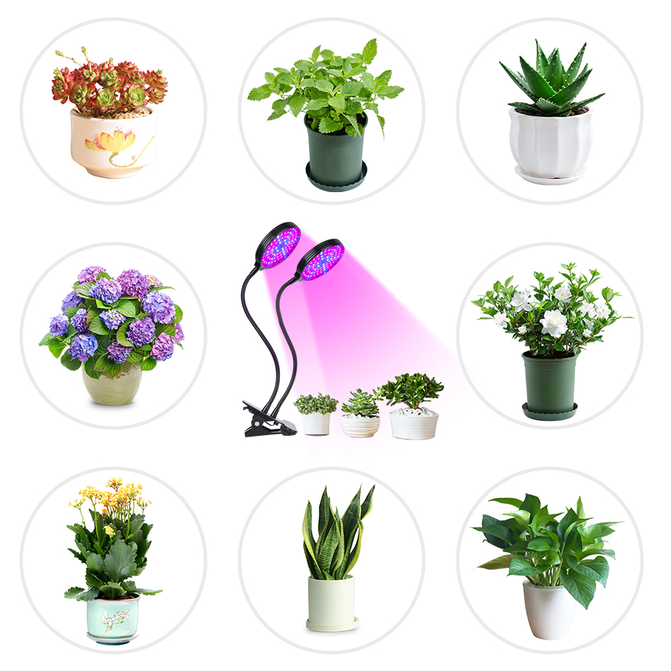 15W 30W 45W 60W LED Grow Light 4 Head Timing 5 Dimmable Levels usb Plant Lights for Indoor with Full Spectrum Phytolamps Adjustable Goosencck 4/8/12H 