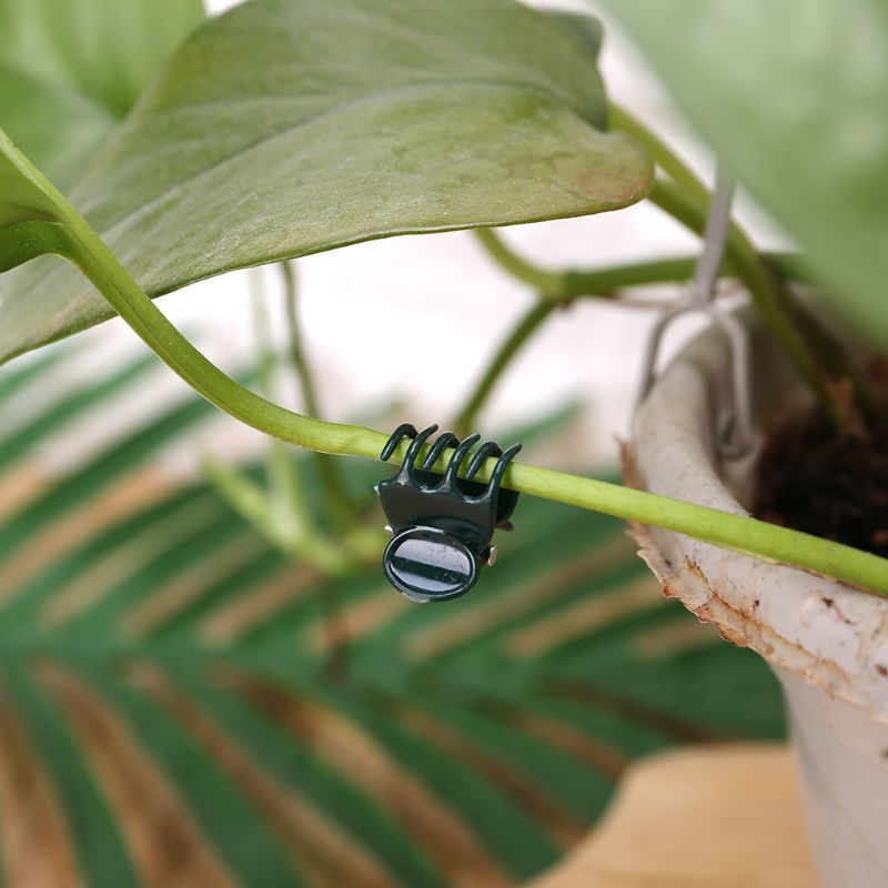 100 Pieces Plant Support Clips Garden Clips Flower Orchid Voice Clips For Wine Stick Support 40JA