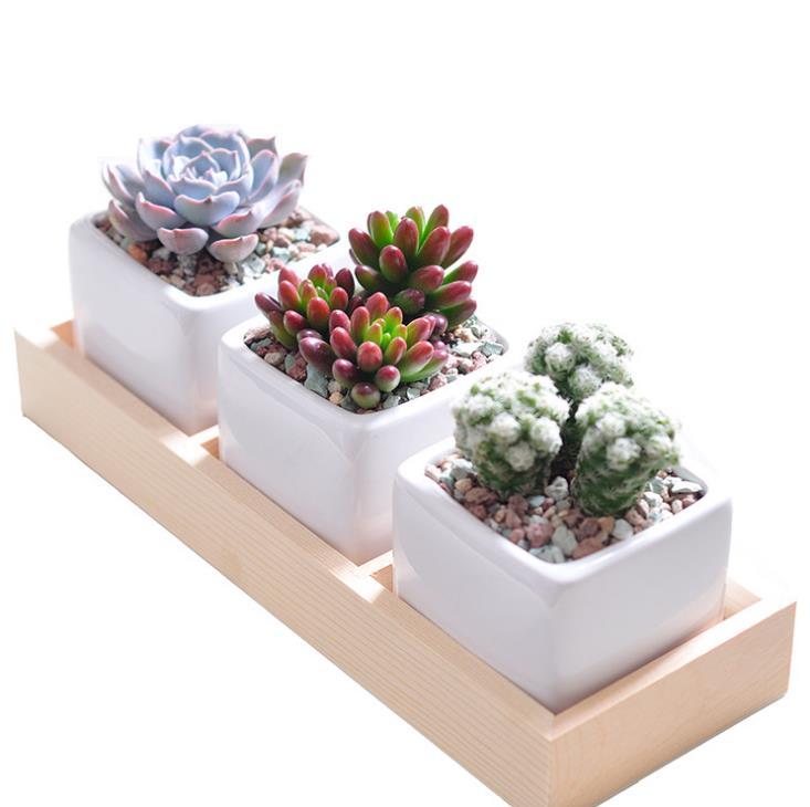 3 Grids Flower Pots Box Tray Wooden Succulent Plant Fleshy Flowerpot Containers Home Decor RRD6905 Free shipping
