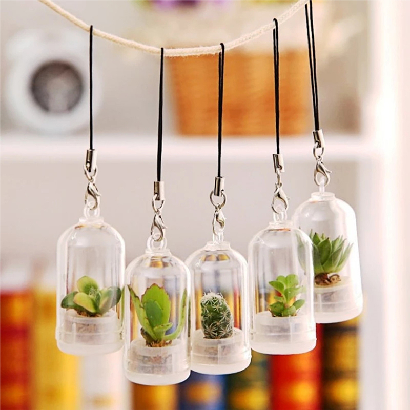 2PCs Random Mini Succulent Cactus Plant Keyring Charm Green Fleshy Plant Pendant Keychain with Glass Cover Craft Gifts for Women