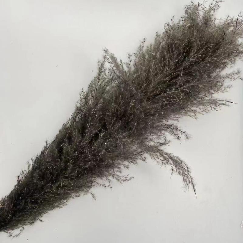 Decorative Flowers & Wreaths 140CM 10Pcs/lot Natural Large Pampas Grass Decor Real Artificial Dried Bouquet Wedding Supplies Christmas