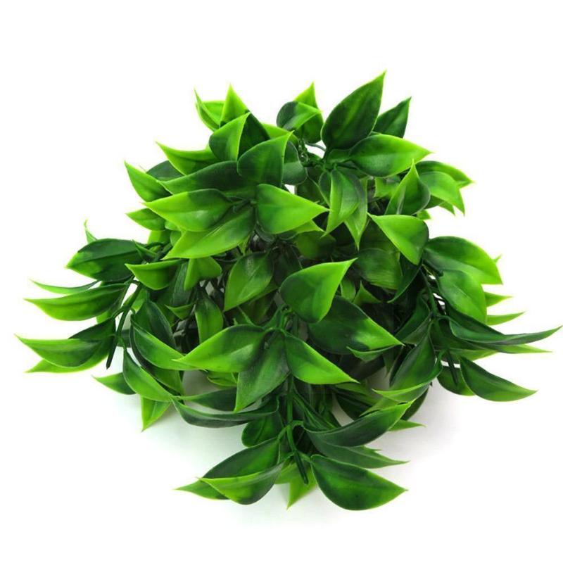 Decorative Flowers & Wreaths Simulation Orange Cotyledon Plant Garden Shrub Fake Artificial Decoration Leaf Grass Home Shop Eucalyptus J6l6
Decorative Flowers & Wreaths Simulation Orange Cotyledon Plant Garden Shrub Fake Artificial Decoration Leaf Grass Home Shop Eucalyptus J6l6