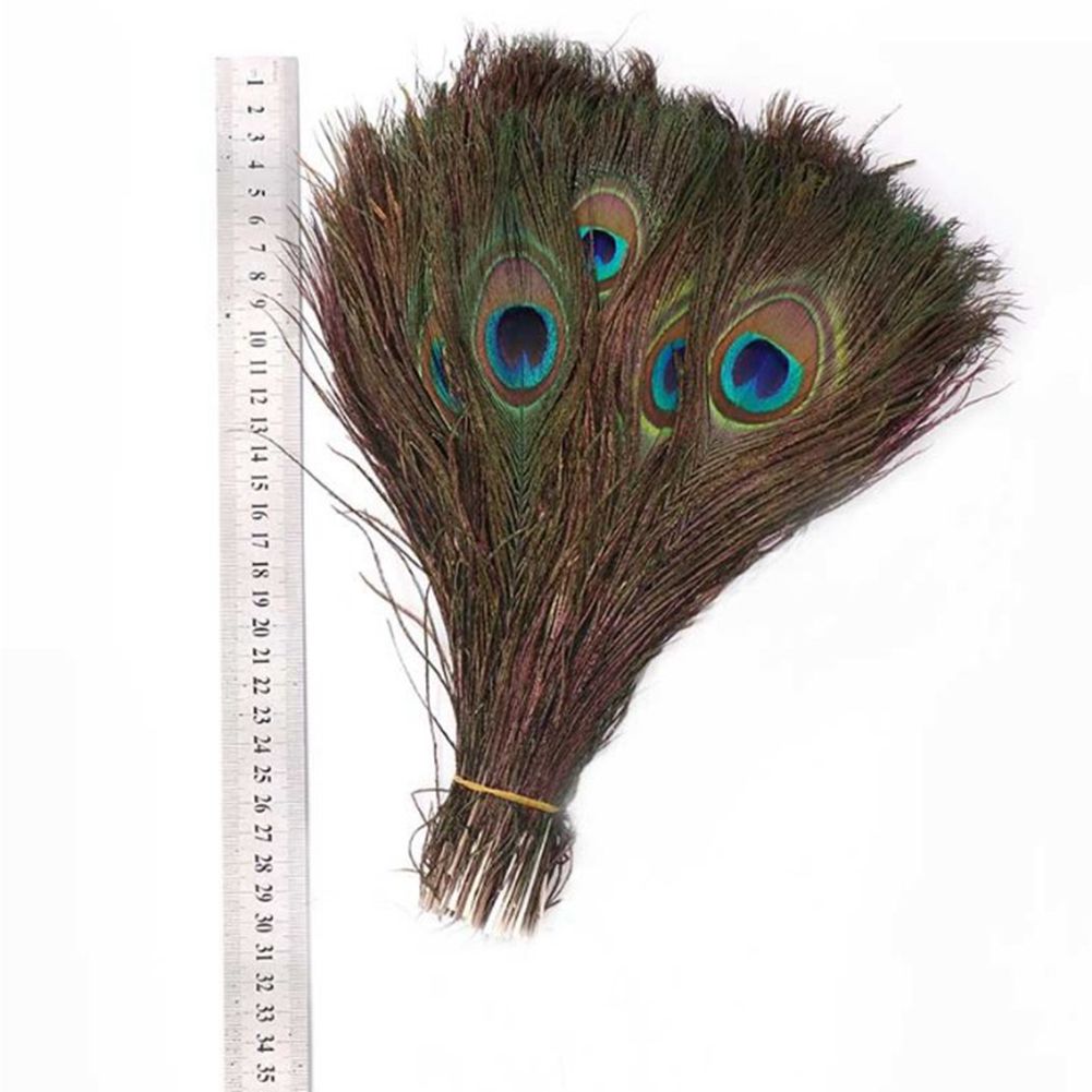 200pcs Natural Peacock Feathers 25-30cm 10-12" Elegant Decorative Materials Decoration Beautiful Feather Novelty Items For Sale
200pcs Natural Peacock Feathers 25-30cm 10-12" Elegant Decorative Materials Decoration Beautiful Feather Novelty Items For Sale