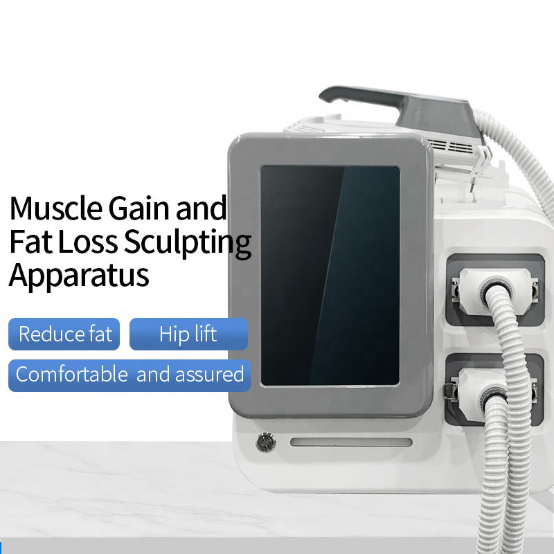 2022 Slimming Fat Burning Instrument Emslim Desktop Multi-Functional Beauty Equipment Weight Loss Machine