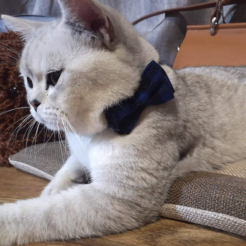14 Colors Fashion Cat Collar Breakaway with Bell and Bow Tie Plaid Design Adjustable Safety Kitty Kitten British Style Collars Set 6.8-10.8in Blue