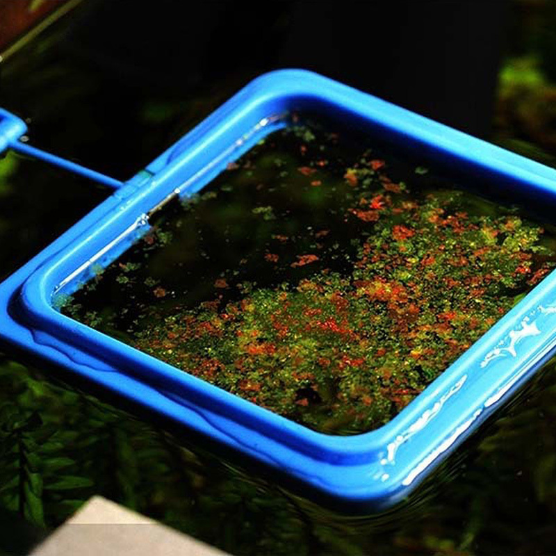 Aquarium Quadrant/Circle Ring Feeder Feeding Station Floating Food