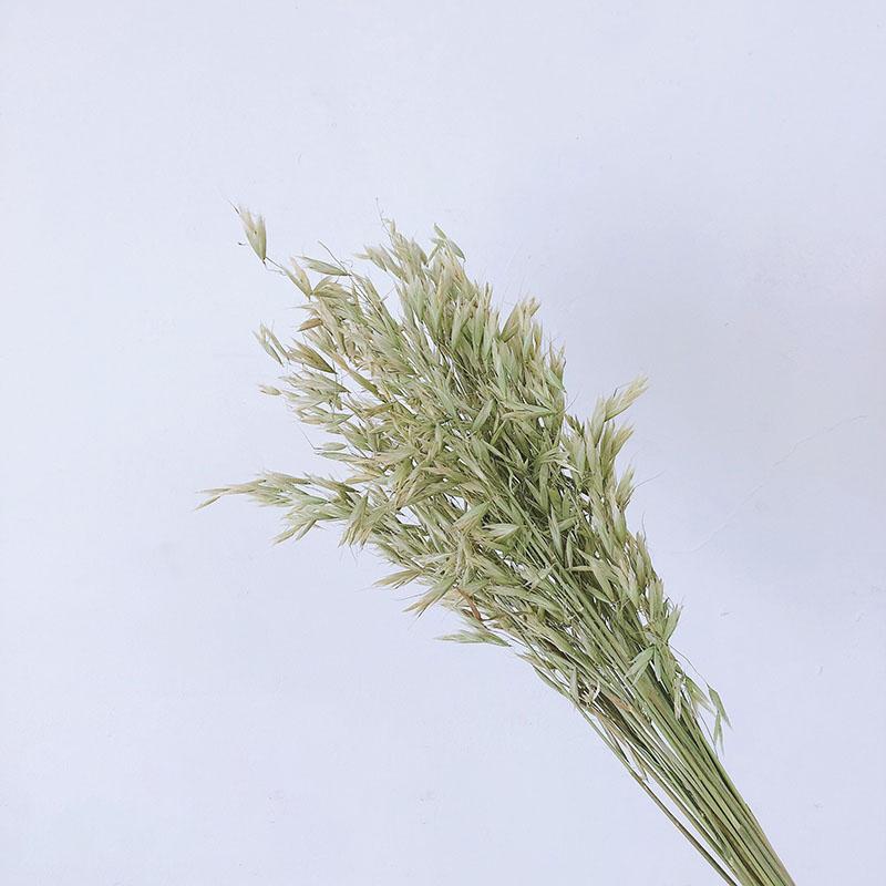 Bouquet Eucalyptus Cotton Pampas Grass Natural Dried Flowers Desk Decoration Centerpieces Table Accessories Po Ddecor Decorative & Wreaths