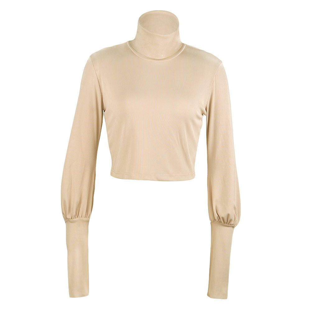 Cropped Sweater Woman Turtleneck Casual Ladies Spring Autumn Knitted Pullover Jumper Tops Knitwear Korean Fashion Clothing 210415