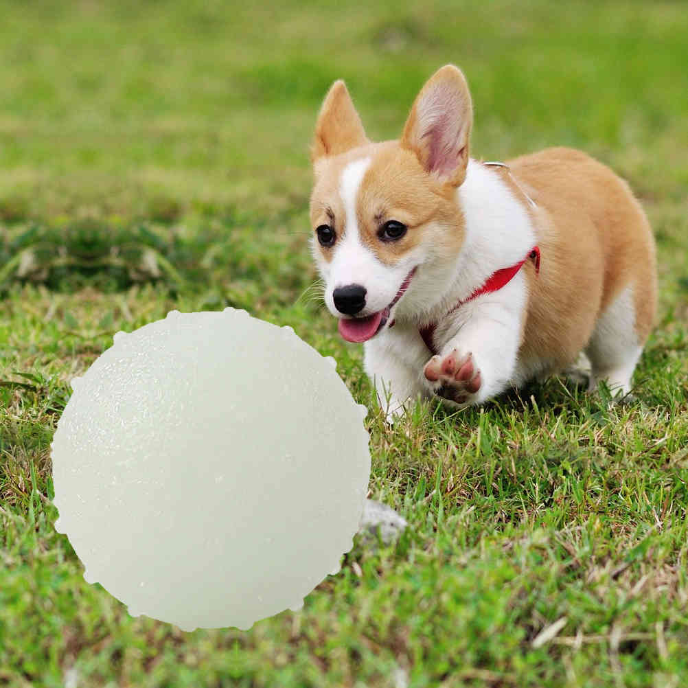 Pet Dog Luminous Ball Rubber Bite Resistant Squeeze Toys Seal Anti-stress Fluorescence Puppy Interactive Supplies chew toys
