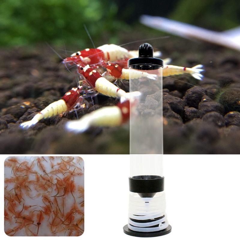 Aquarium Hell Shrimps Hatcher Tool Incubator Artemia Eggs Broderium Aquarium