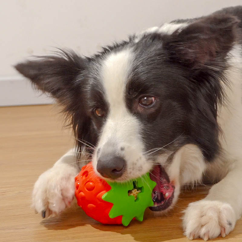 Dog Chew Toys Puzzle Feeding Ball Interactive Food Dispenser IQ Treat Toy For Dogs Puppy Pet Playing Non-Toxic Teething Toys