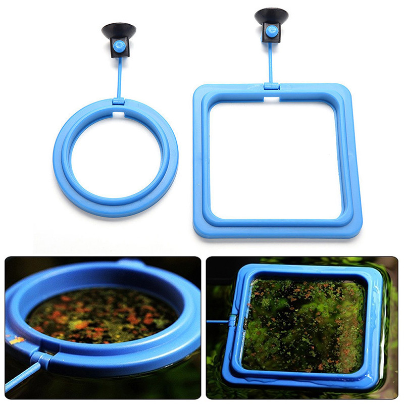 Aquarium Quadrant/Circle Ring Feeder Feeding Station Floating Food