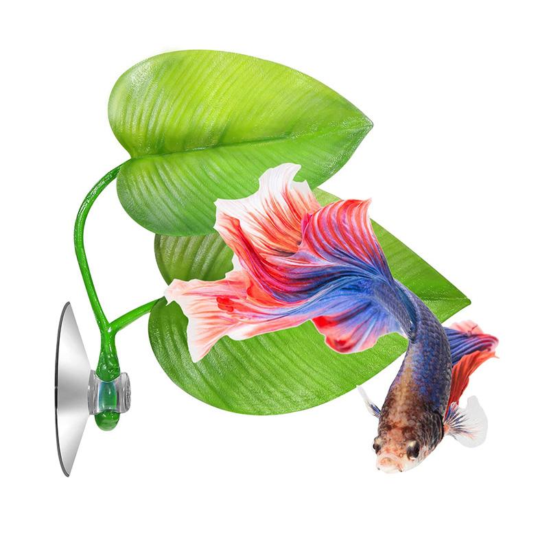 Decorations 1Pc Betta Fish Leaf Bed Hammock Spawning Grounds With Suction Cup Aquarium Plants Simulating Habitat
Decorations 1Pc Betta Fish Leaf Bed Hammock Spawning Grounds With Suction Cup Aquarium Plants Simulating Habitat