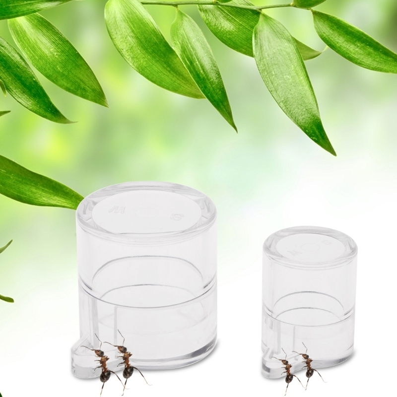 Ant Water Feeder Ant Farm Drinking Device Insect Ant nests Water Kom T8WB