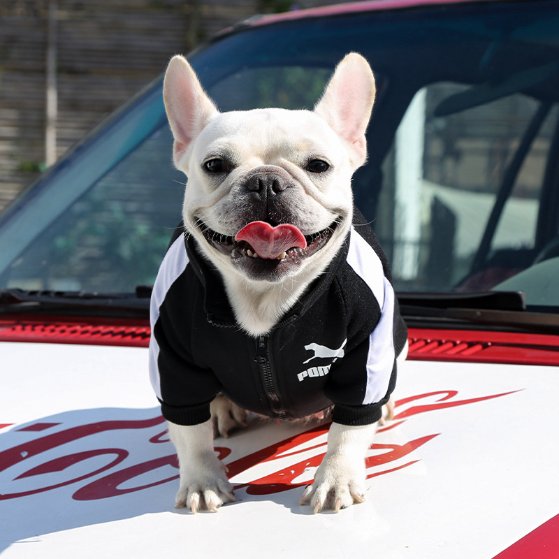 free shipping Soft and Warm et Designer Dog Apparel Pet Clothes Sublimation Printed Sweatshirt for Small Dogs Chihuahua Yorkie French Bulldog Red 3XL 