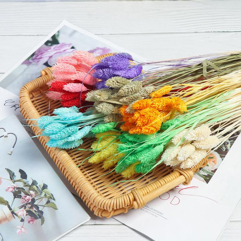 Decorative Flowers & Wreaths 20Pcs Dried Natural Flower Bouquets Artificial Colorful Lagurus Ovatus Tail Grass Bunches, Blue
Decorative Flowers & Wreaths 20Pcs Dried Natural Flower Bouquets Artificial Colorful Lagurus Ovatus Tail Grass Bunches, Blue