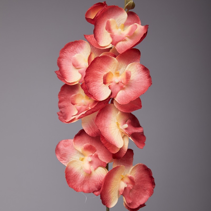 70cm Artificial Butterfly Orchid Silk Flower Wisteria Phalaenopsis 93cm Long Home Garden Party Wedding Decoration Flowers Dinner Centerpiece Decor DIY