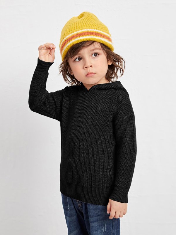Toddler Boys Drop Shoulder Hooded Sweater SHE01