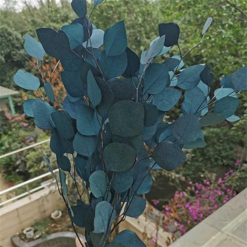110glotNatural Preserved Eucalyptus Leaves Bouquet Eternal Dried Flower for Wedding Home Decoration accessoriesDisplay Flower 7959254