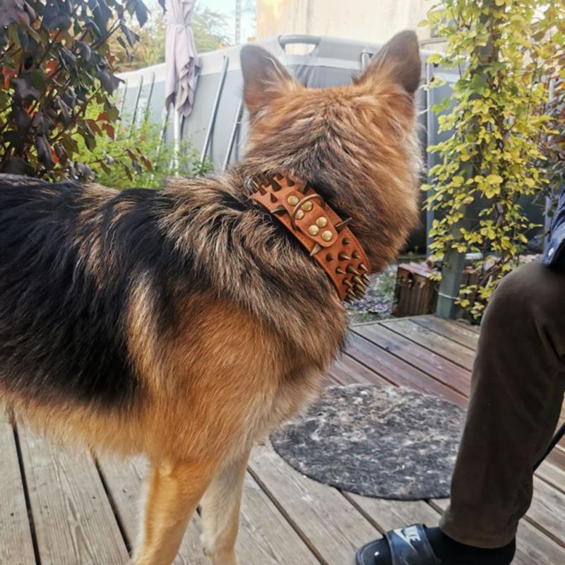 Dog Collars & Leashes Heavy And Duty Collar Comforable Widen For Extra Large Dogs Prevent Bite Sharp Spiked Leather Shepherd CollarDog