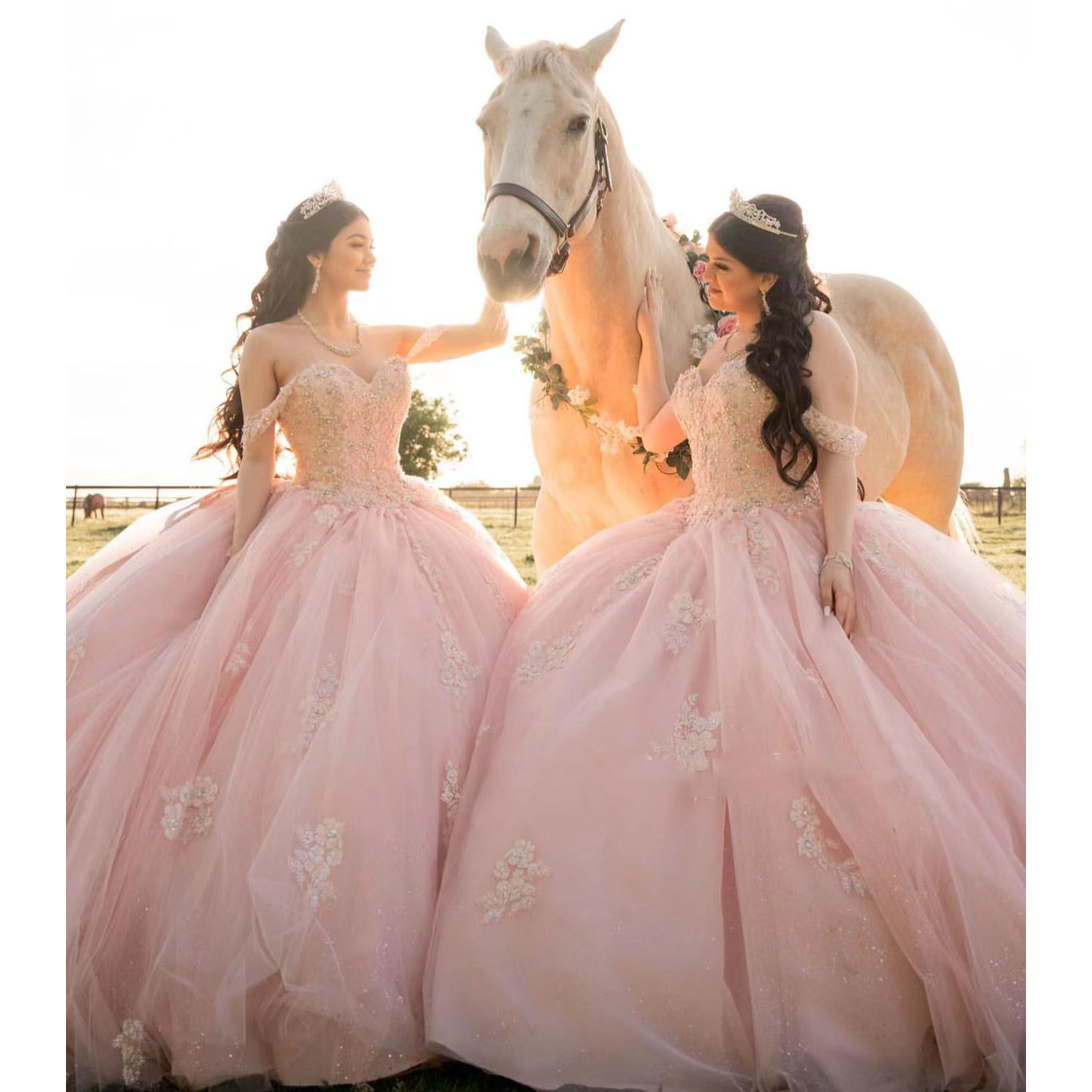 Pink Quinceanera Dress 2022 Mexico Sweet 16 Girl Appliques Princess Ball Gown Birthday Party Evening Dresses vestido de 15 anos quinceanera, Lavender \lilac
Pink Quinceanera Dress 2022 Mexico Sweet 16 Girl Appliques Princess Ball Gown Birthday Party Evening Dresses vestido de 15 anos quinceanera, Lavender \lilac
