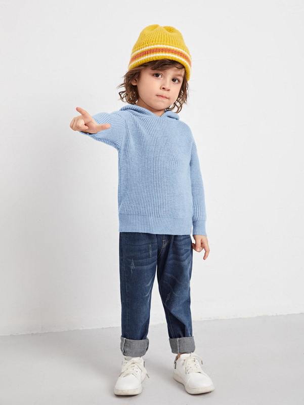 Toddler Boys Drop Shoulder Hooded Sweater SHE01