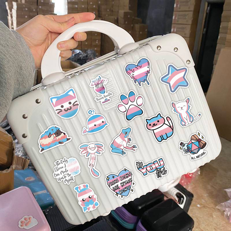 60Pcs Transgender Pride Stickers Graffiti Kids Toy Skateboard car Motorcycle Bicycle Sticker Decals Wholesale
