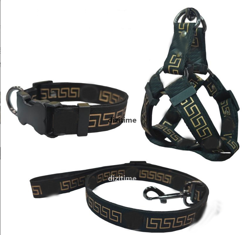Fashion Dog Collars Leashes Set Pet Leash Seat Belts Pet Collar And Pets Chain Letter Dogs Cat Supplies q
Fashion Dog Collars Leashes Set Pet Leash Seat Belts Pet Collar And Pets Chain Letter Dogs Cat Supplies q