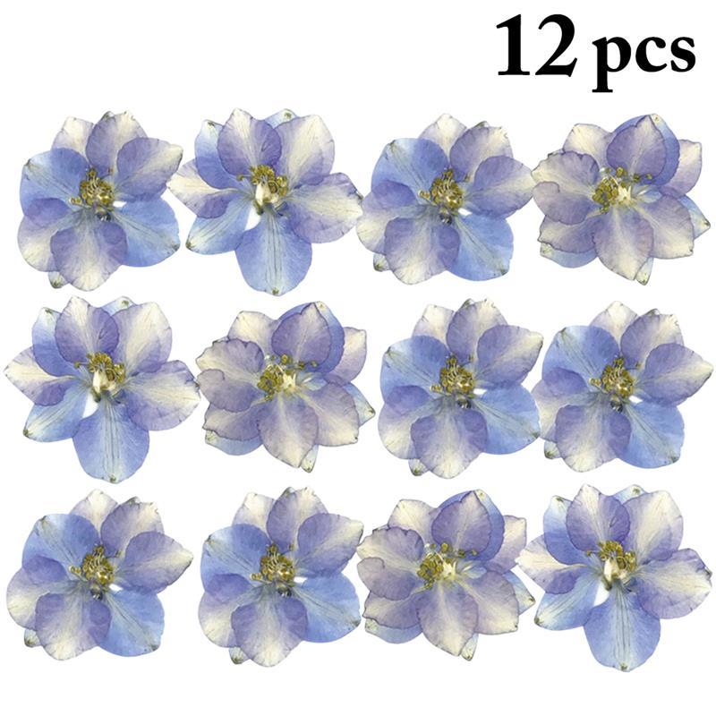Decorative Flowers & Wreaths 12PCS Dried Real Larkspur DIY Pressed Eal Flower Dry Plants For Making Craft Accessories, Pink
Decorative Flowers & Wreaths 12PCS Dried Real Larkspur DIY Pressed Eal Flower Dry Plants For Making Craft Accessories, Pink