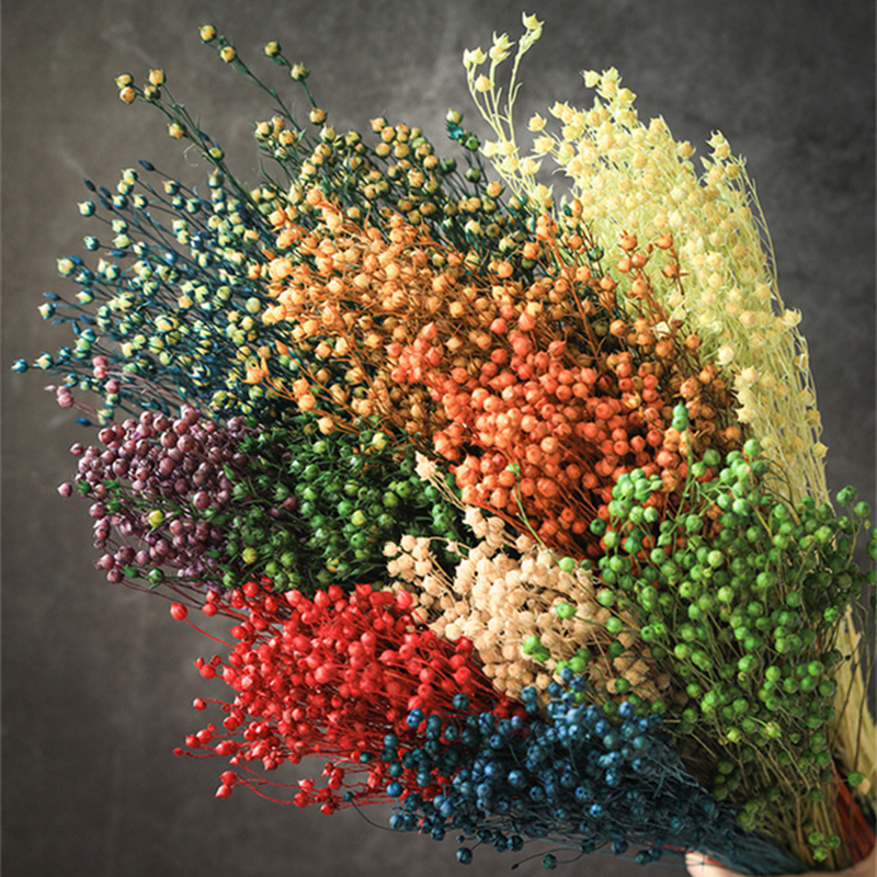 50g Colorful Dried Flowers Linen Grass Bouquets Real Flower for Home Decoration Natural Material Wedding Decor Diy Epoxy Resin, Xiangsidou zihongse
50g Colorful Dried Flowers Linen Grass Bouquets Real Flower for Home Decoration Natural Material Wedding Decor Diy Epoxy Resin, Xiangsidou zihongse