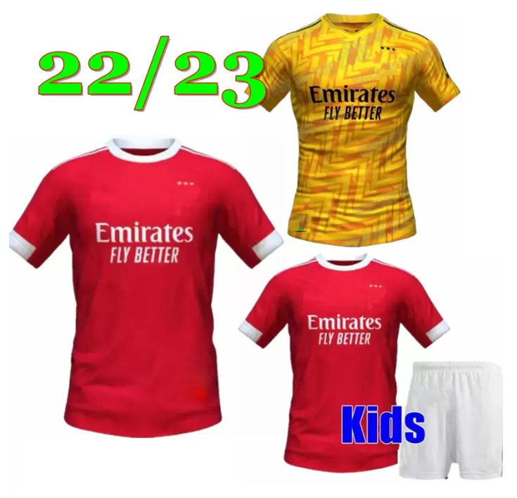 22 23 FANS EVERTON Benfica Soccer Jersey JONAS GABRIEL Camiseta SEFEROVIC ZIVKOVIC SALVIO ELISEU FEJSA 2022 2023 Man kids Football shirts
22 23 FANS EVERTON Benfica Soccer Jersey JONAS GABRIEL Camiseta SEFEROVIC ZIVKOVIC SALVIO ELISEU FEJSA 2022 2023 Man kids Football shirts