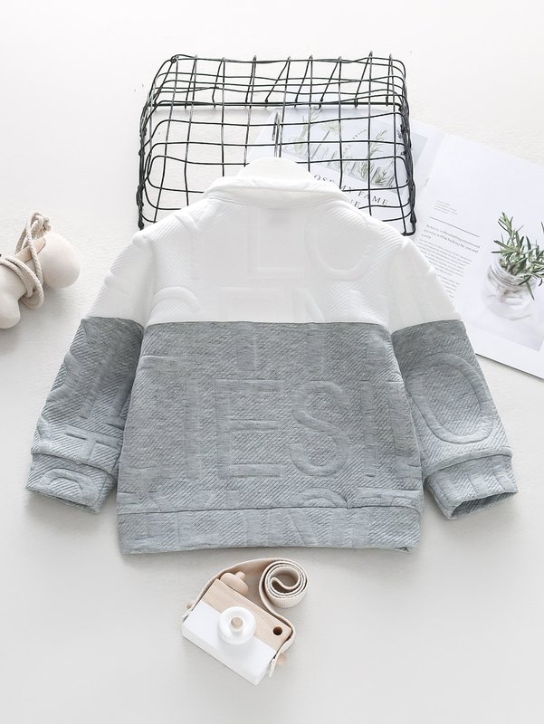 Toddler Boys Two Tone Textured Quarter Zipper Pullover SHE