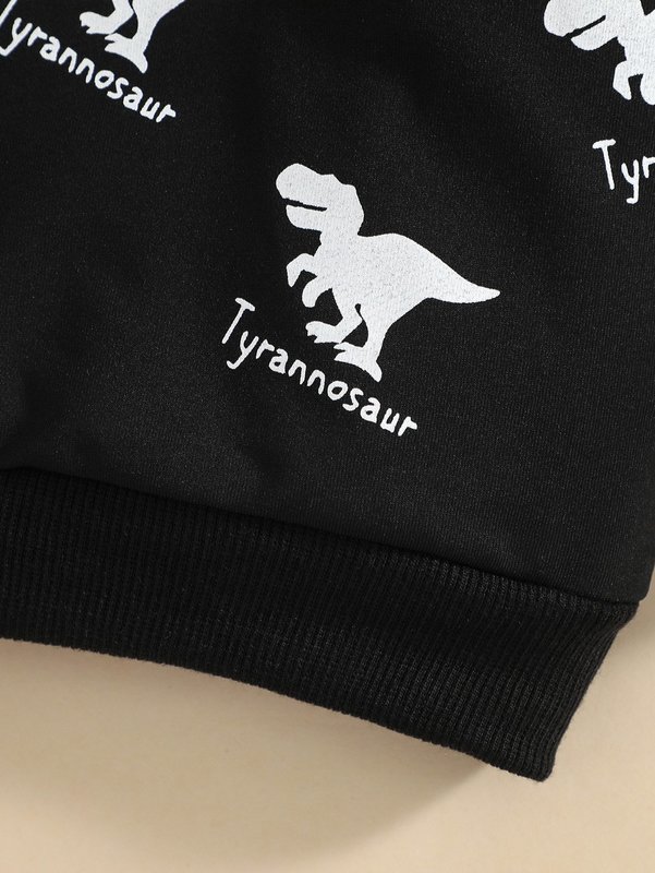 Baby Letter And Dinosaur Print Hoodie SHE