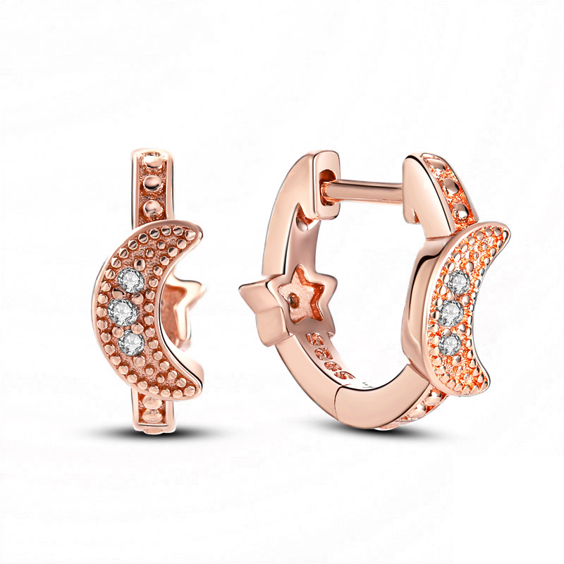 Women 925 Sterling Silver Earrings Stud Fit P plata Sparkling Heart Flower Rose Gold Hoop Earring For Ladies Gift DIY Making With Box