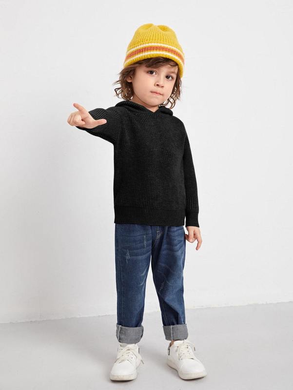 Toddler Boys Drop Shoulder Hooded Sweater SHE01